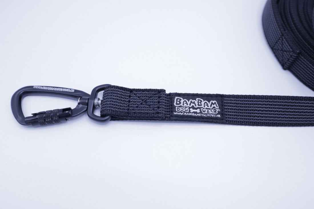 Buy Bon Chien Double Thick Nylon Leash for Dog 1inch Online - MyPetz